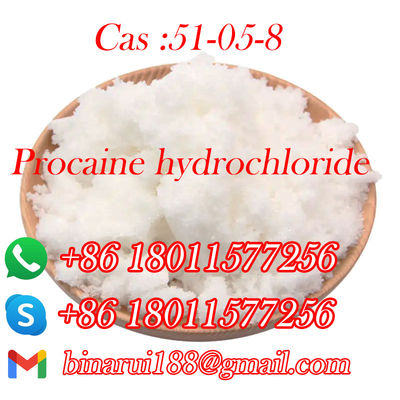 Bereiter Bestand Procaine Hydrochlorid / Procaine HCl CAS 51-05-8